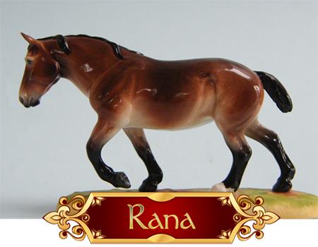 Rana - SR 2014